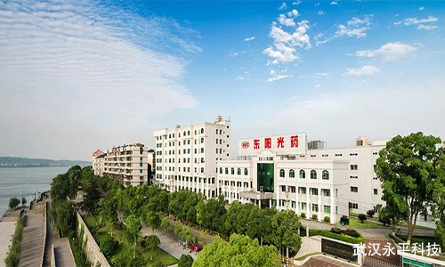 宜昌東陽光火力發(fā)電1號循環(huán)流化床鍋爐水冷壁格柵防磨施工